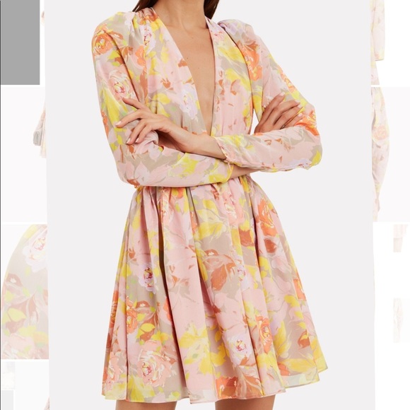 Ronny Kobo Alyson Floral Chiffon Dress Size Small - Picture 5 of 9